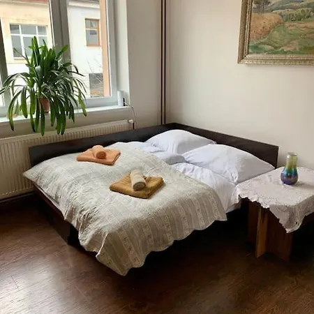 Apartman Pod Lampou Žďár nad Sázavou 外观 照片