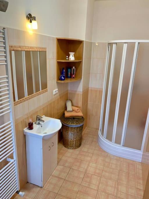 Pod Lampou Apartment Zdar Nad Sazavou
