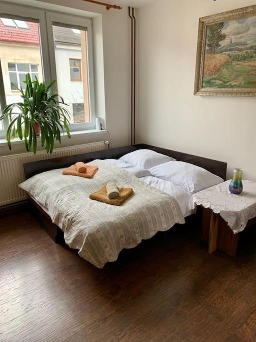 Pod Lampou Apartment Zdar Nad Sazavou